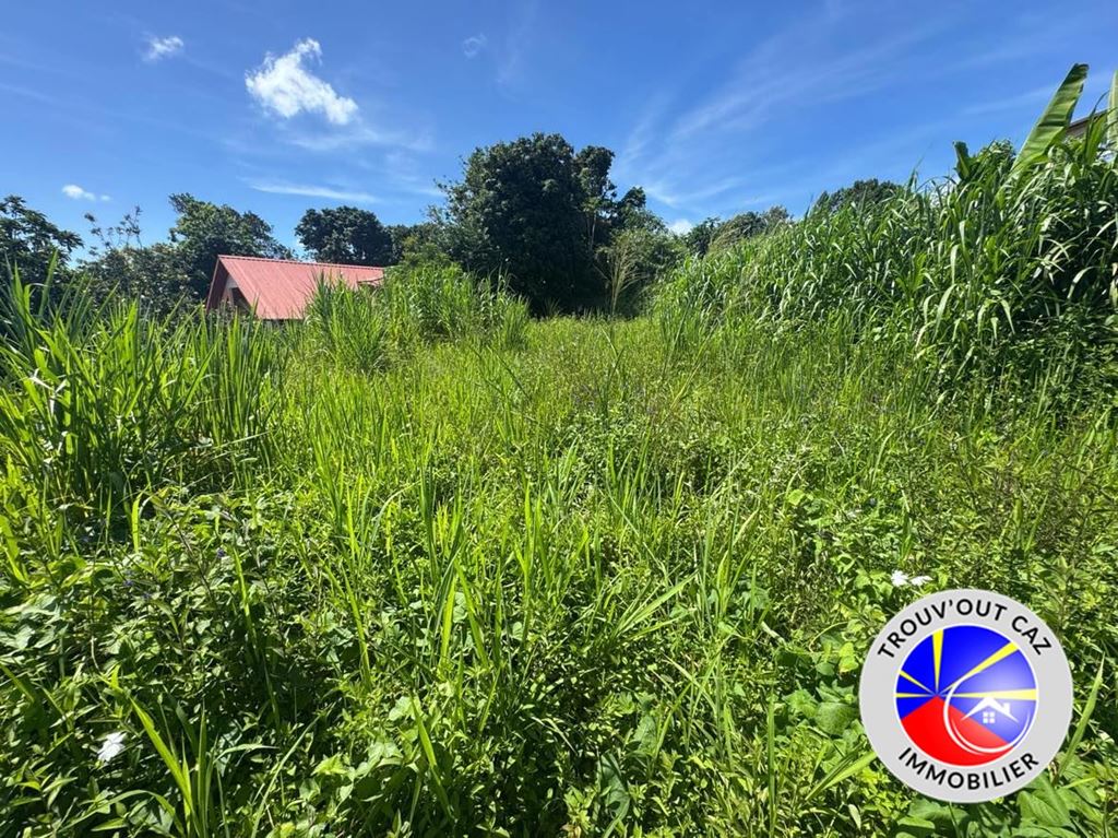 Terrain Sainte-Suzanne (97441) Trouv'Out Caz Immobilier