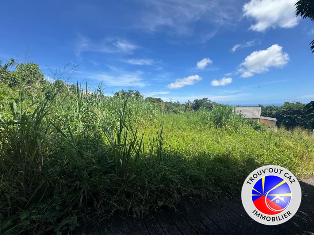 Terrain Sainte-Suzanne (97441) Trouv'Out Caz Immobilier